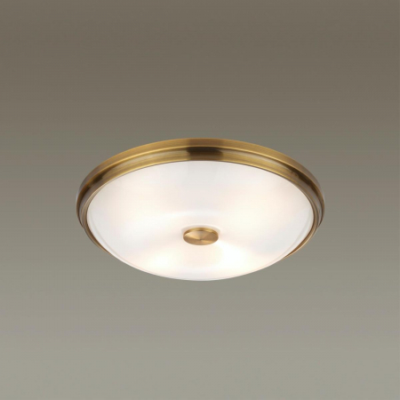 Настенно-потолочный светильник Odeon Light Pelow 4956/4
