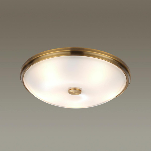 Настенно-потолочный светильник Odeon Light Pelow 4956/5