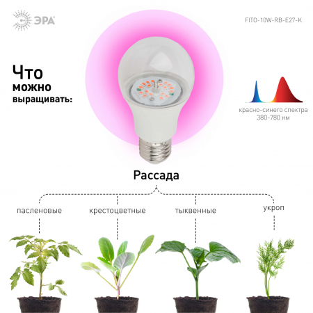 Фитолампа для растений светодиодная ЭРА E27 10W 1310K FITO-10W-RB-E27-K Б0039069