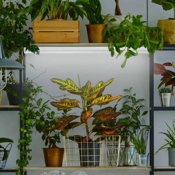 Фитолампа для растений светодиодная ЭРА G13 9W 4000K FITO-9W-Ra90-Т8-G13-NL Б0042988