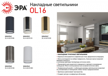 Накладной светильник ЭРА OL16 GU10 GD Б0049047