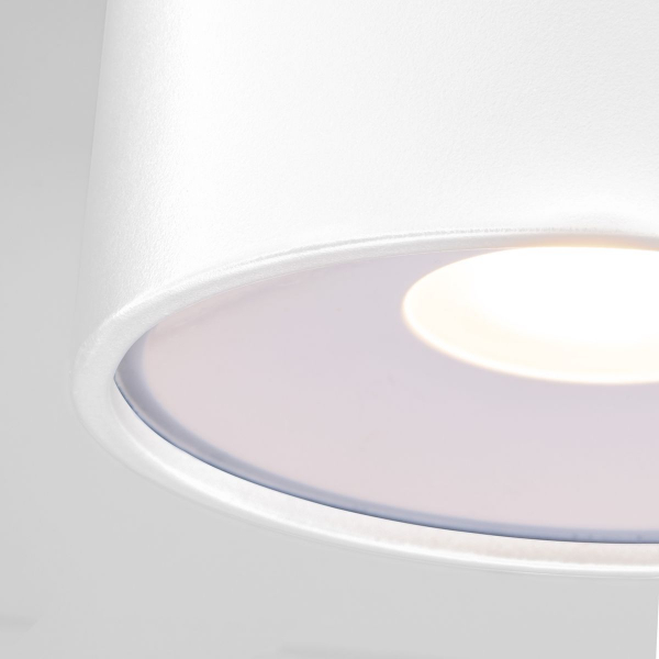Уличный потолочный светильник Elektrostandard Light LED 4690389180132