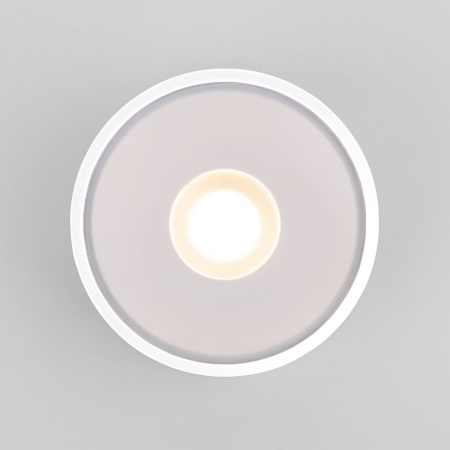 Уличный потолочный светильник Elektrostandard Light LED 4690389180132