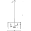 FR5170PL-06N