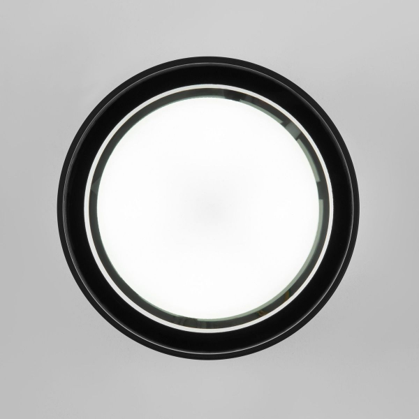 Уличный потолочный светильник Elektrostandard Light 4690389180835