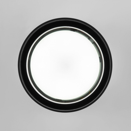 Уличный потолочный светильник Elektrostandard Light 4690389180835