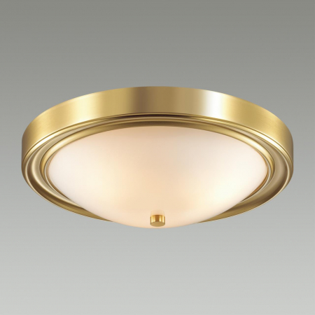 Настенно-потолочный светильник Lumion Vintage 5259/3C