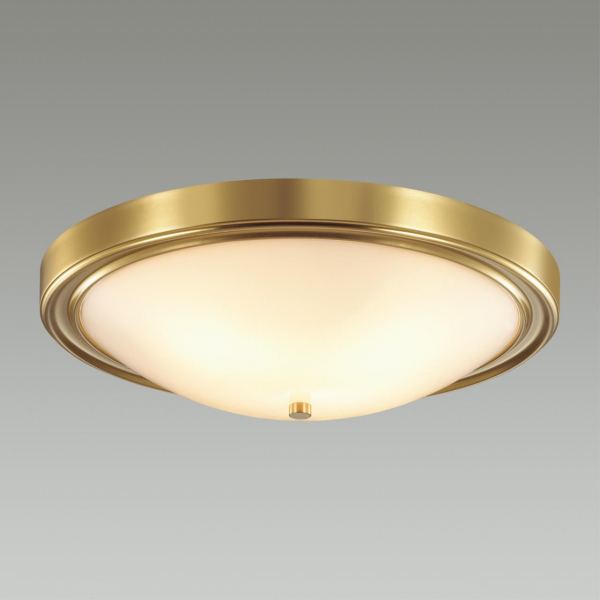 Настенно-потолочный светильник Lumion Vintage 5259/4C