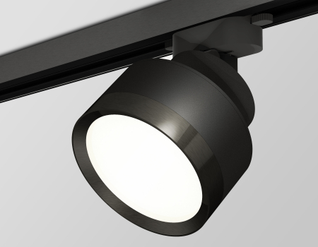 Трековый светильник Ambrella Light Track System XT8102002 (A2526, A2106, C8102, N8113)