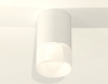 Потолочный светильник Ambrella Light Techno Spot XS7421025 (C7421, N7170)