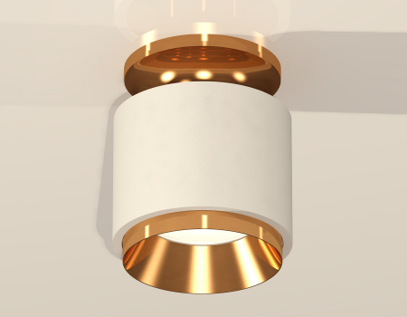 Потолочный светильник Ambrella Light Techno Spot XS7510120 (N7929, C7510, N7034)