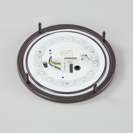 Настенно-потолочный светильник Citilux Бостон CL709205N