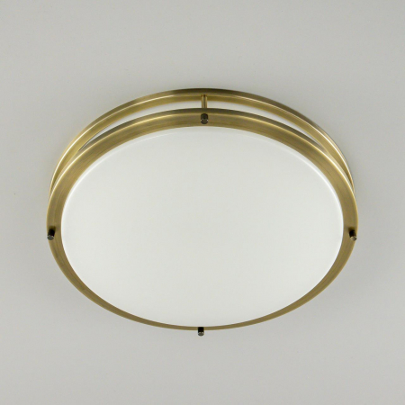 Настенно-потолочный светильник Citilux Бостон CL709503N