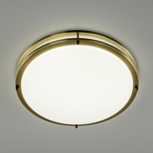 Настенно-потолочный светильник Citilux Бостон CL709503N