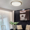 Потолочный светильник ImperiumLoft Vedum 141123-26