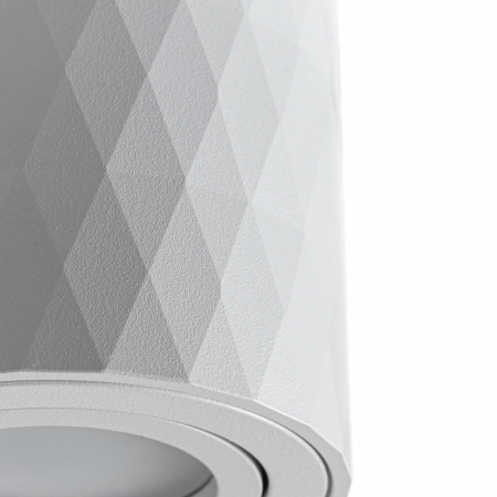 Накладной светильник Arte Lamp Fang A5559PL-1WH
