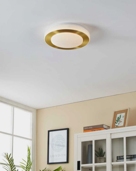 Потолочный светильник Eglo Led Carpi 900369