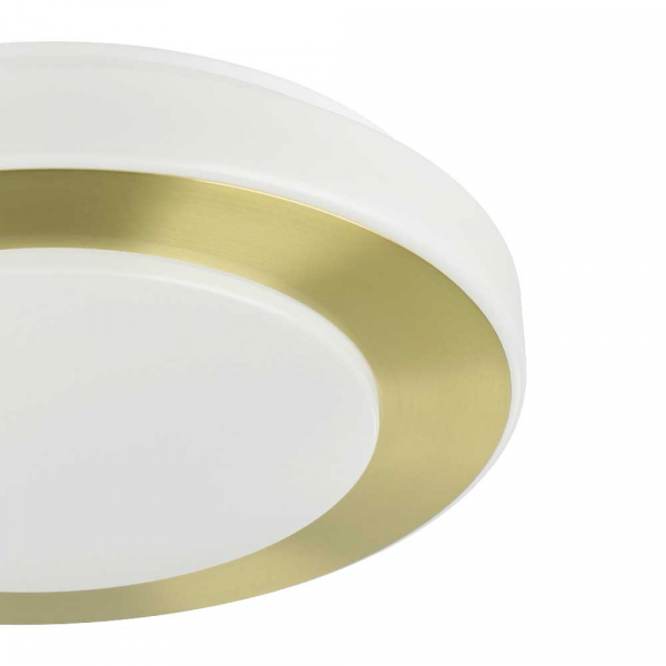 Потолочный светильник Eglo Led Carpi 900369