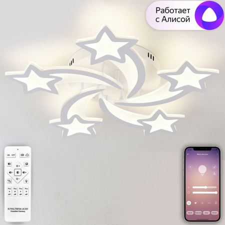 LED LAMPS 81213