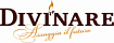Divinare лого