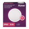 Настенно-потолочный светильник Ritter 56024 1