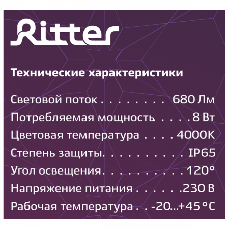 Настенно-потолочный светильник Ritter 56024 1