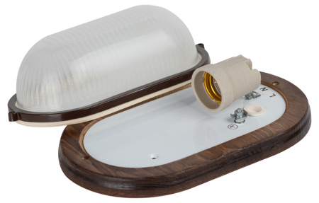 Настенно-потолочный светильник Эра НБО 04-60-021 Б0048248