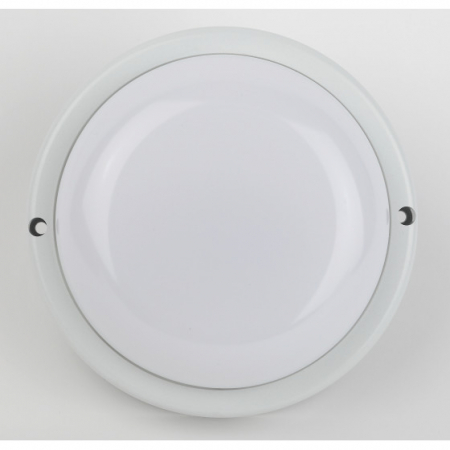 Настенно-потолочный светильник Эра SPB-201-2-40K-018 Б0054581