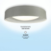 Потолочный светильник Seven Fires Лагом 48204.30.20.64GR