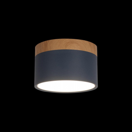 Накладной светильник Loft IT Grape 10162 Blue
