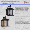 Уличный настенный светильник Reluce 08287-9.2-001U BKG