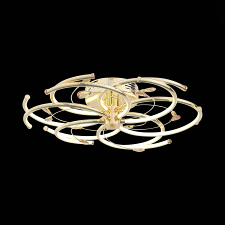 Потолочный светодиодный светильник ST Luce Riore SL962.202.12