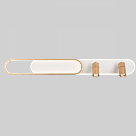 Настенно-потолочный светильник Favourite Planar 4075-2C