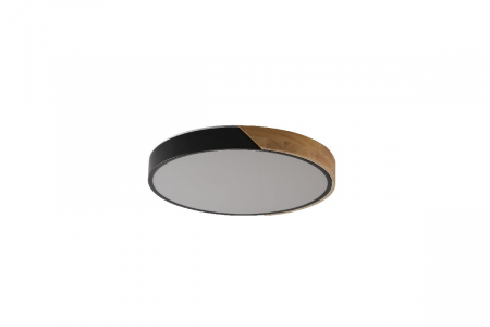Потолочный светильник Zortes Alberro ZRS.01237.90