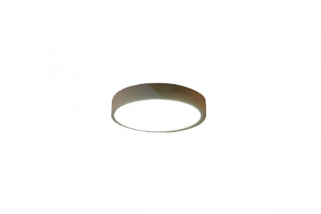 Потолочный светильник Zortes Alberro ZRS.01239.90