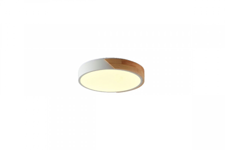 Потолочный светильник Zortes Alberro ZRS.01239.90