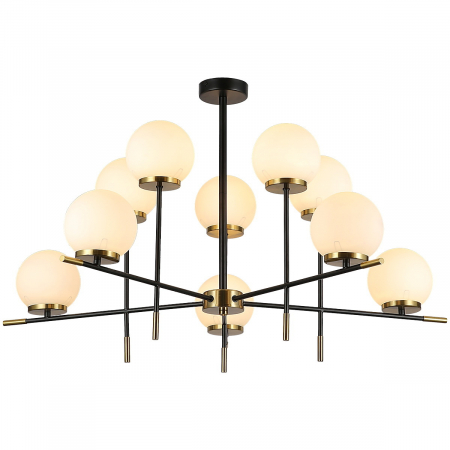 IL0059-10P-79 BK COP