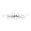FR5242CL-24BS1