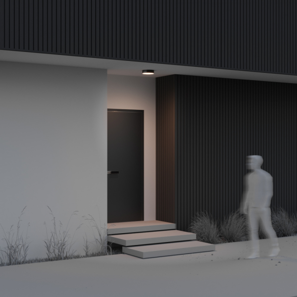 Уличный потолочный светильник Maytoni Zon IP O431CL-L30B3K