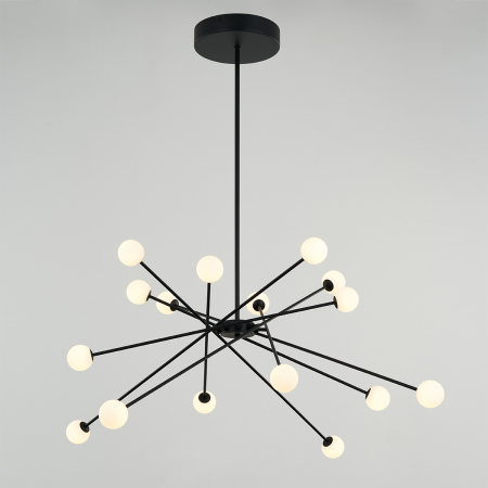 MD19001025-16A black