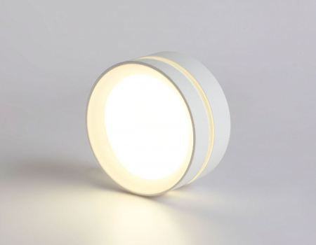 Накладной светильник Ambrella Light IP Protect TN5391