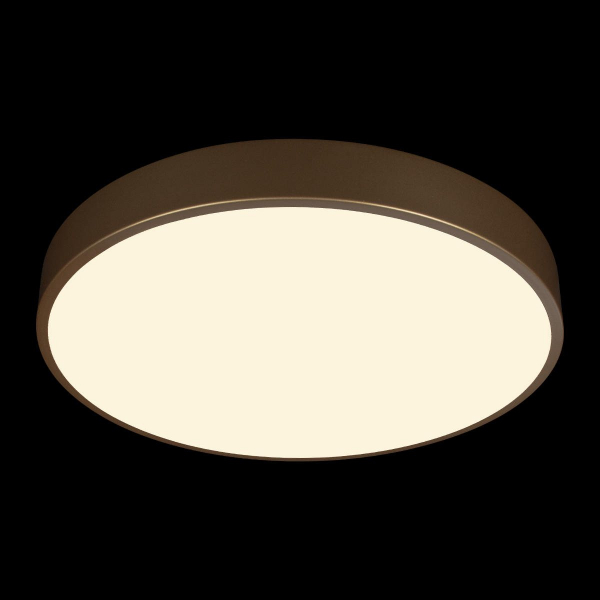 Потолочный светильник Loft IT Flims 10228/A