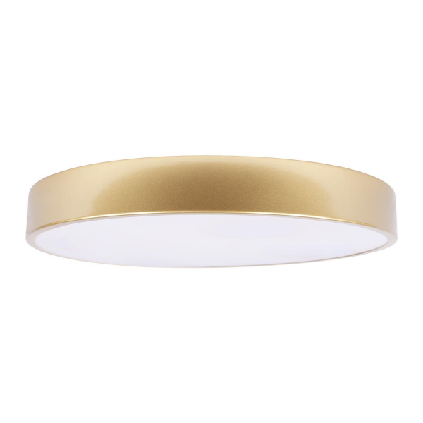 Потолочный светильник Loft IT Flims 10228/A
