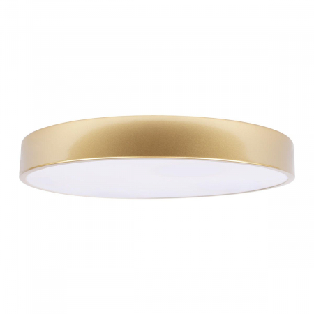 Потолочный светильник Loft IT Flims 10228/A