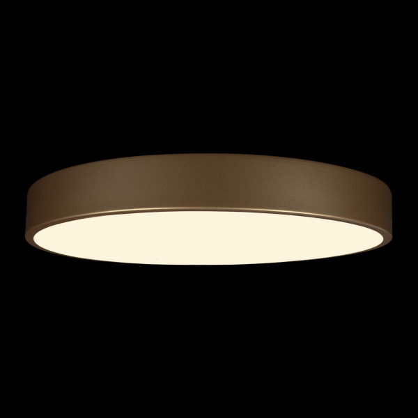 Потолочный светильник Loft IT Flims 10228/A