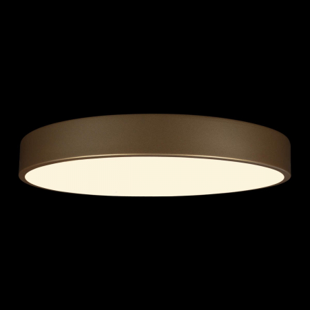 Потолочный светильник Loft IT Flims 10228/A