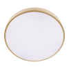 Потолочный светильник Loft IT Flims 10228/A