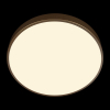 Потолочный светильник Loft IT Flims 10228/A