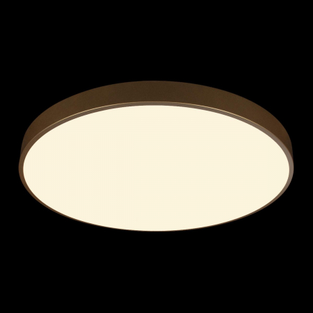 Потолочный светильник Loft IT Flims 10228/B