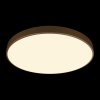 Потолочный светильник Loft IT Flims 10228/B